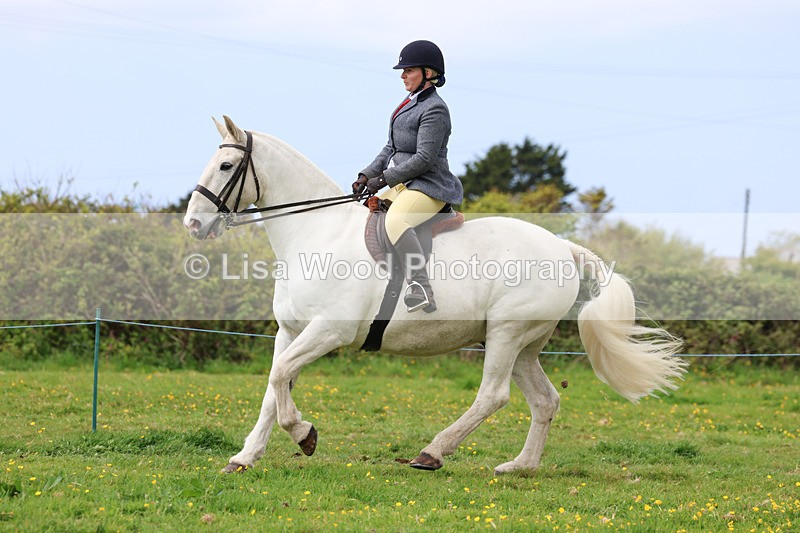 3E7A1339 - Class 7: Ridden Hunter Type