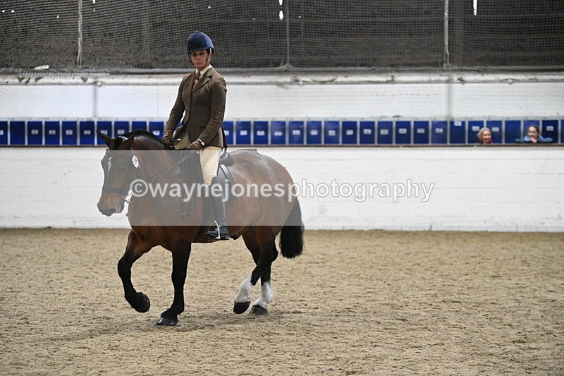 WJ7_3992 - Class 17 Ridden Cob