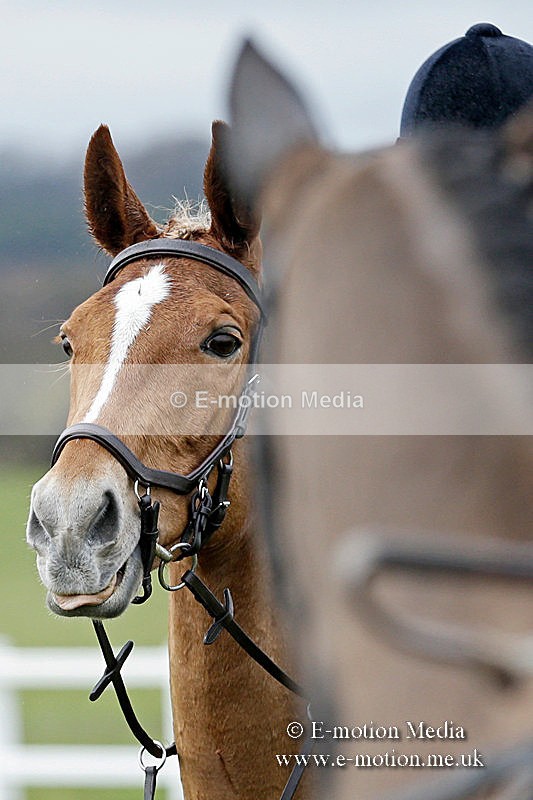 PtP 150320 0450 - New Forest Point-to-Point Larkhill 15/03/20