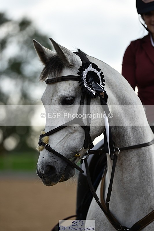 230902A-163838-02119 - Cls 4B Pony Big 1.05m