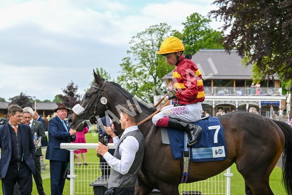 150525-Tropical Storm-4992 - Race 5 4.18pm British Stallion Studs EBF Westow Stakes