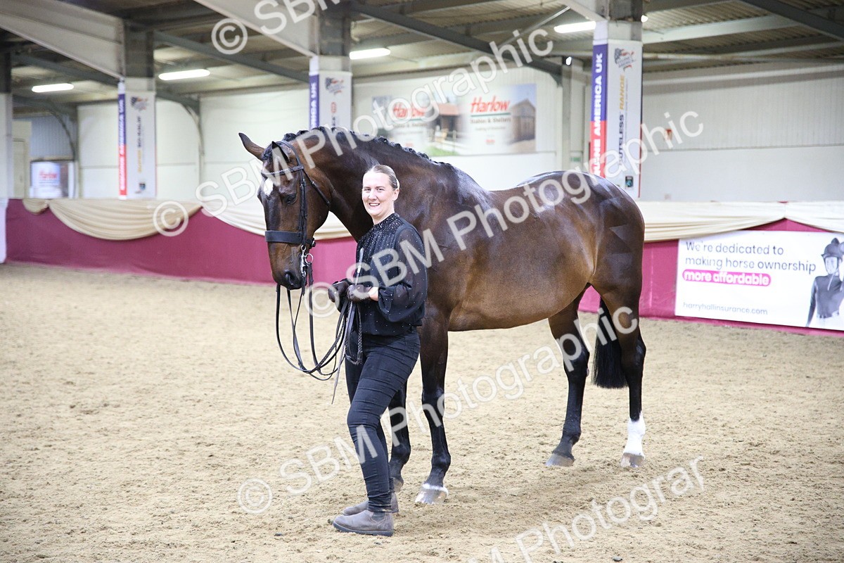 SBM_18834 - Class E IH Horse Champ