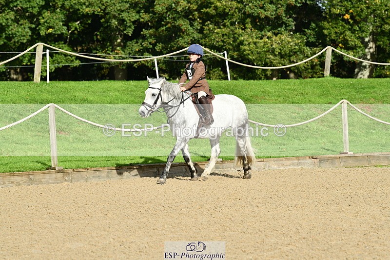 251004A-102237-00426 - Classes 1-2-3 40cm