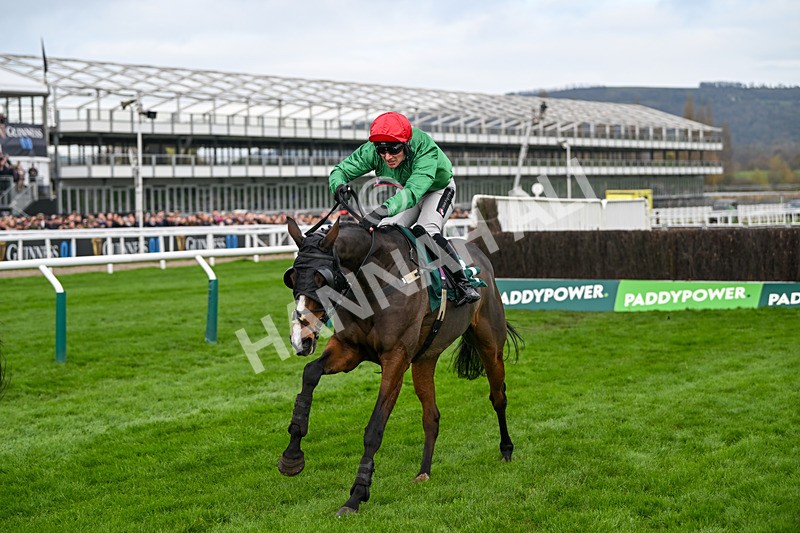 161124-Race 2-Deise Aba-9694 - Race 2