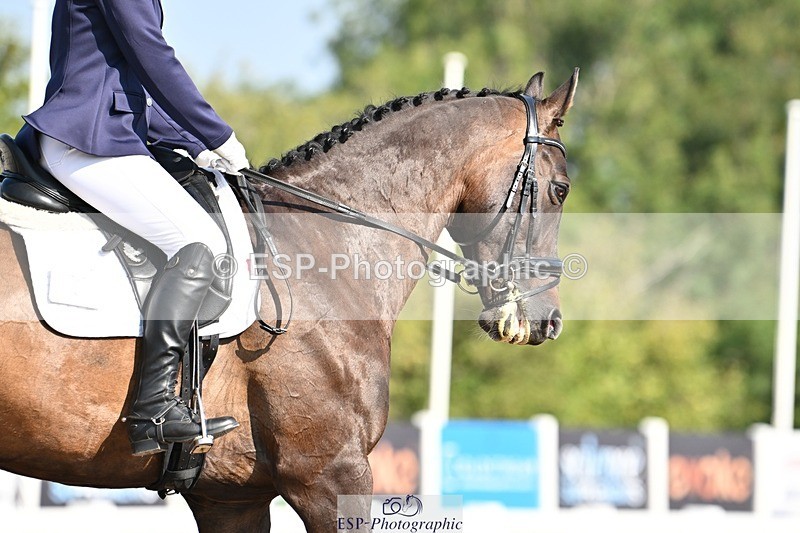 250816-100010-03018 - 096-Louisa.ChattingFirst.Mohican.II