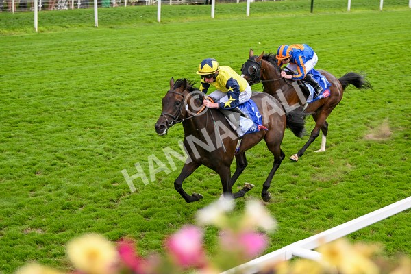 240824-Race 2-Tabletalk-1331 - Race 2 2.25pm Sky Bet Melrose Handicap
