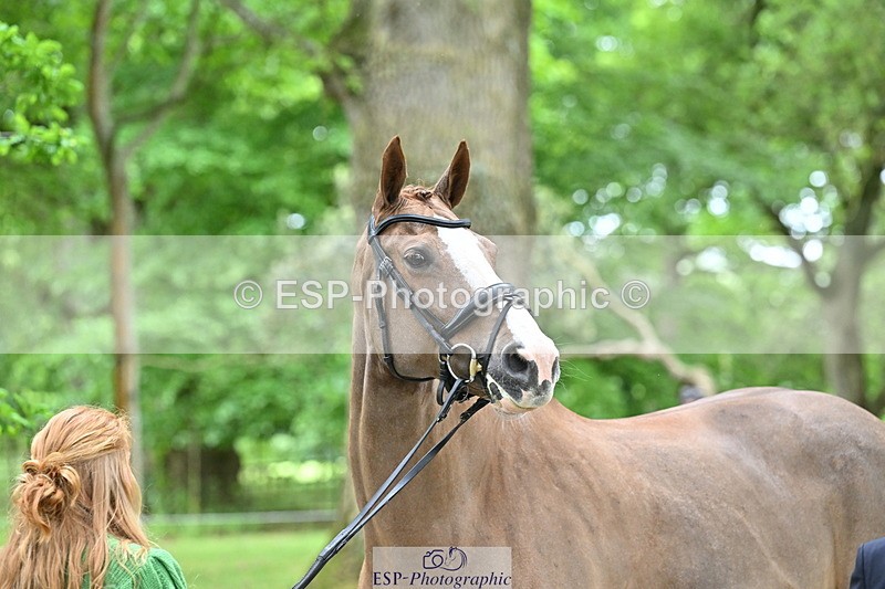 250521A-144333-00194 - A-057-Tabitha.Moore-BILLY.HOODOOS