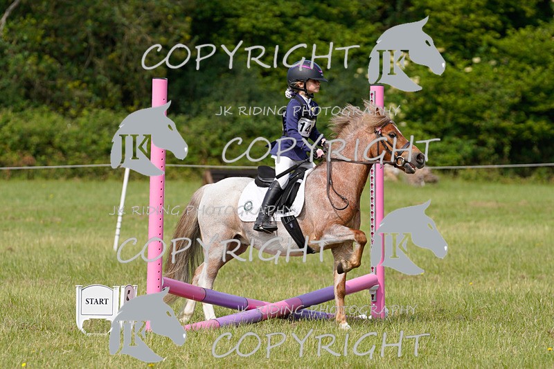 _DSC4342 - CLASS 5 CROSS POLES RING 2