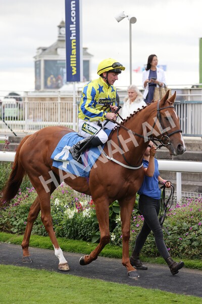 yr24092021r7-07 - Race 7 4.55pm William Hill Free or Four Fillies' Stakes