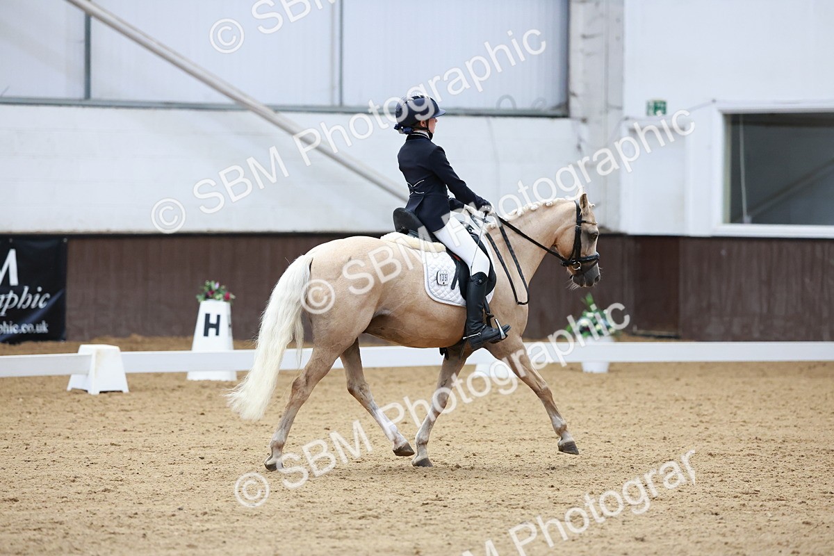 SBM_017383 - Class15 - FEI Pony