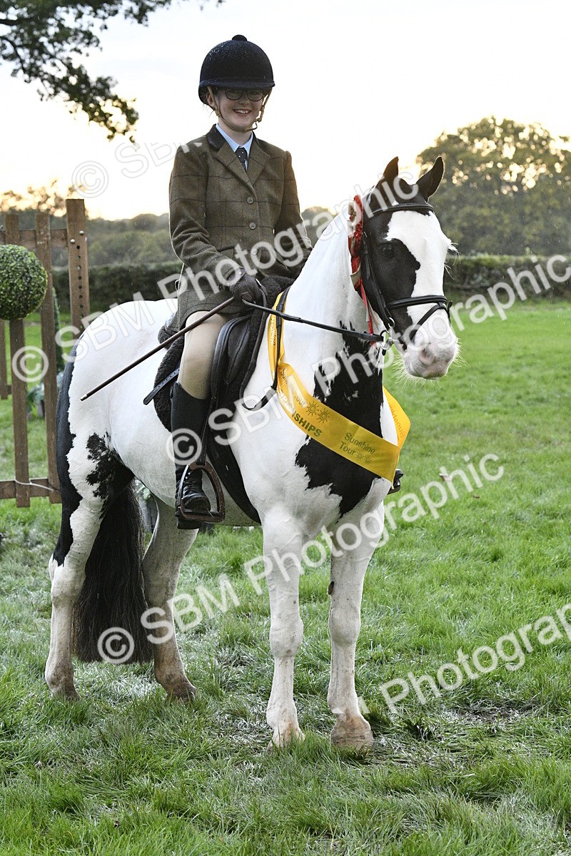 SBM_53359 - S14 - Riding Club Horse