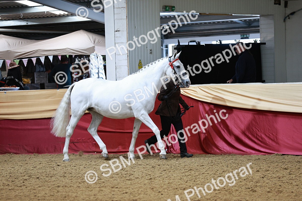 SBM_01157 - Class 3A - Area IH Pre-Vet