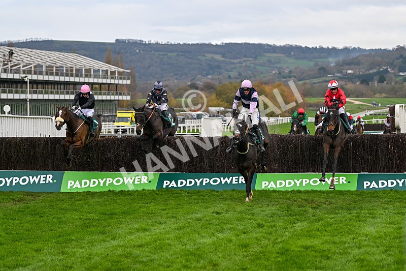 161124-Race 2-Java Point-9657 - Race 2