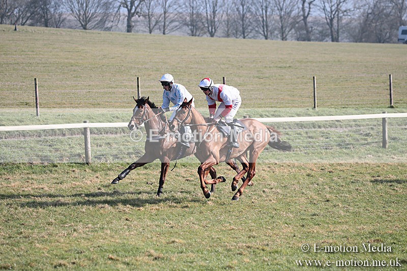 PtP 230219 246 - Vine & Craven Point-To-Point - Barbury 23/02/19