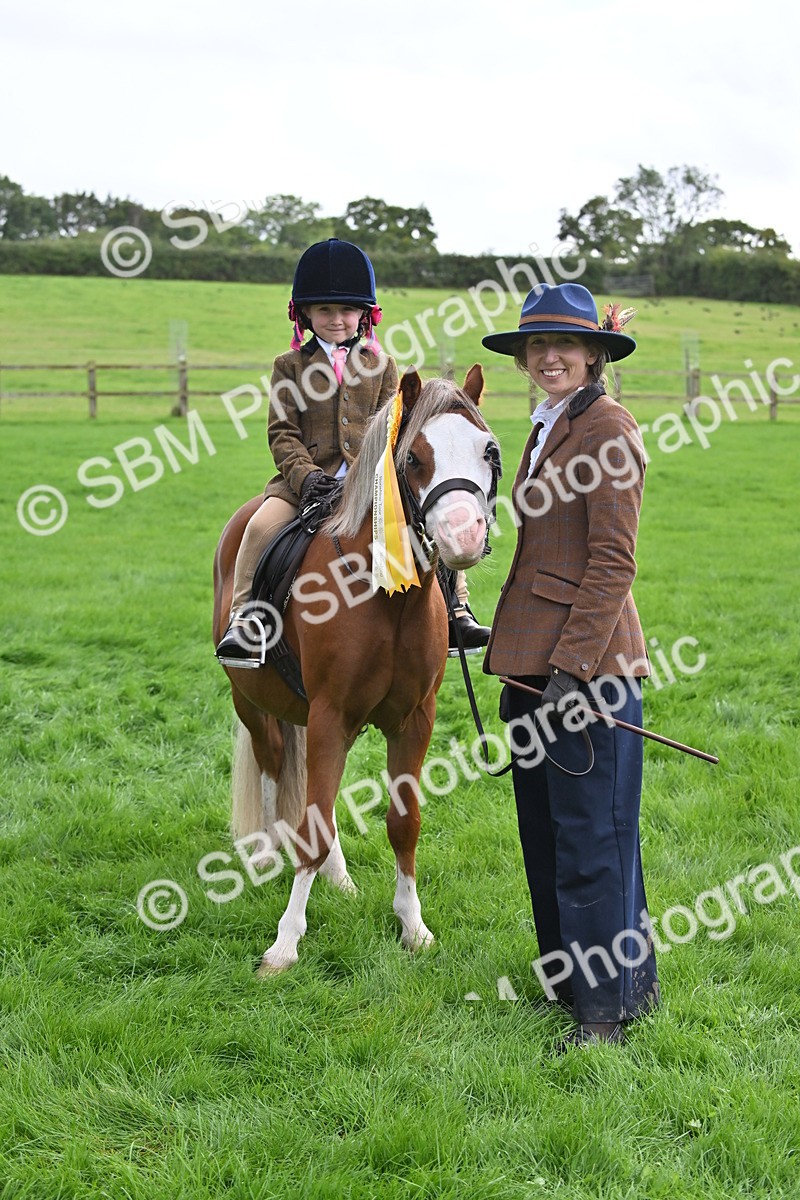 SBM_40159 - S20 - Lead Rein Mountain & Moorland Pony