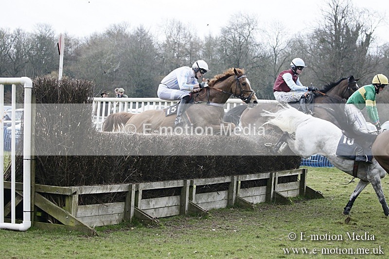 PtP 110318 550 - Hampshire Hunt Point-to-Point Hackwood Park 11/03/18