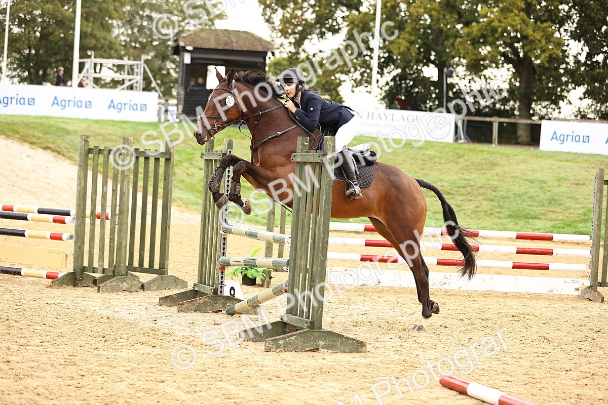 SBM_58371 - J41 - Grand Tour Horse & Pony 95cm