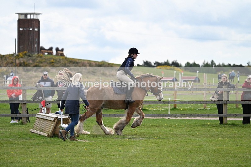 WJ7_6362 - 60cm Time 11:12 to 11:36