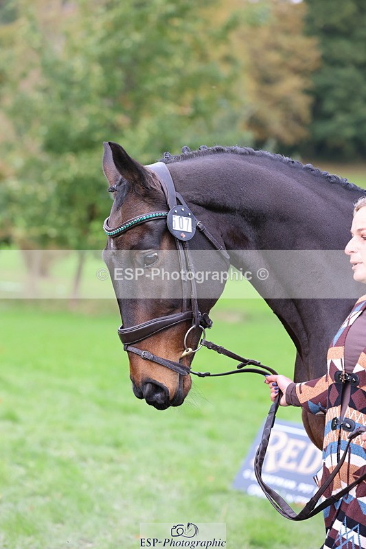 251026A-120047-25825 - G-507-Dominique.Kinnaird-Ainley