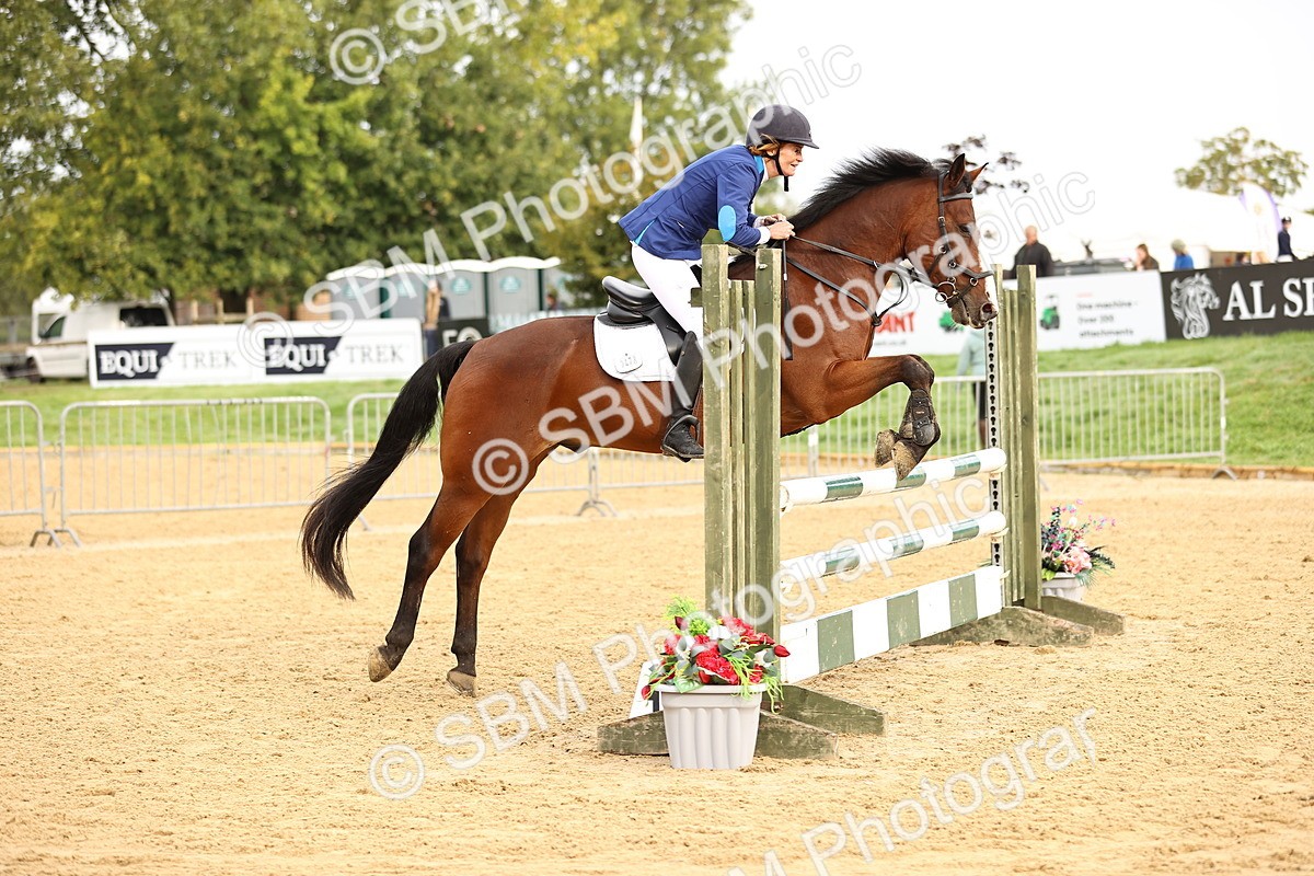 SBM_58244 - J41 - Grand Tour Horse & Pony 95cm