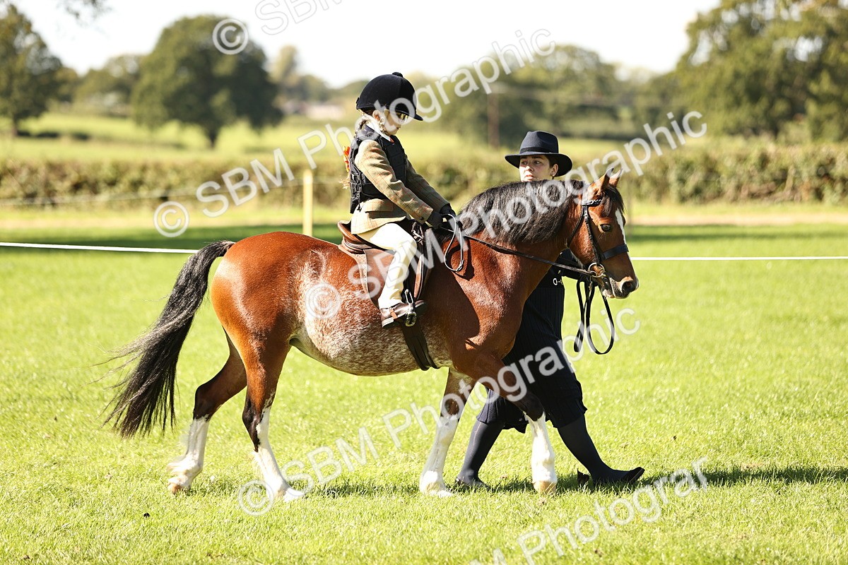 SBM_19200 - S3 - TSR Ridden Pony Showing