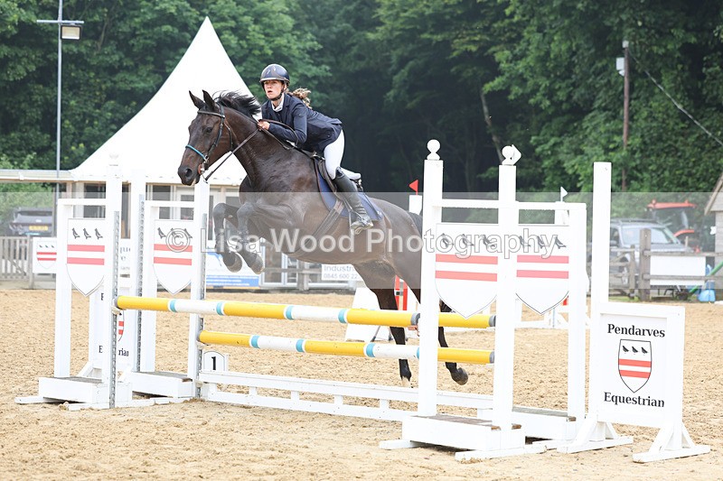 3E7A5610 - Class 4: Senior British Novice/90cm open