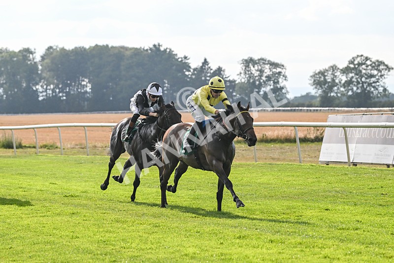 150825-Race 1-Alaminos-2369 - Race 1