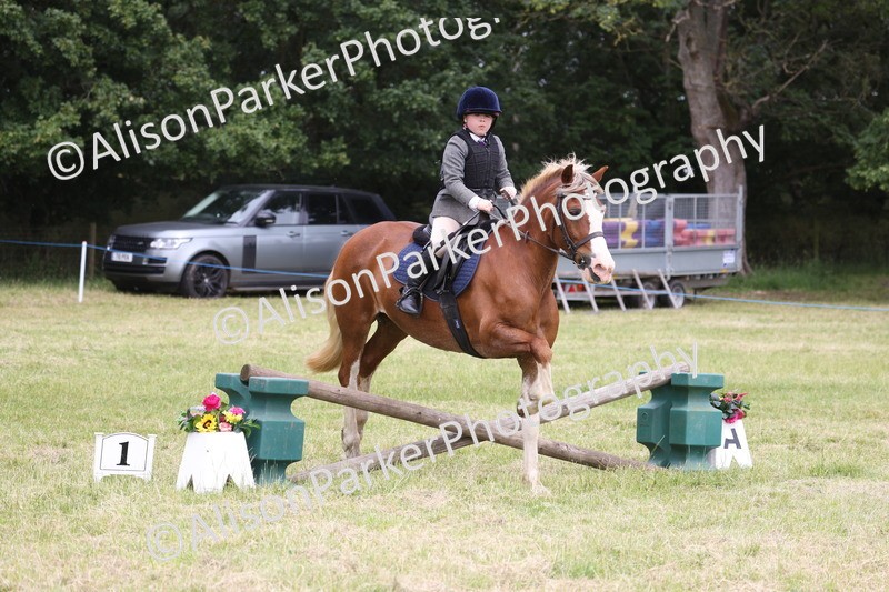 20260614-3081 - Class 22 - Open Working Hunter