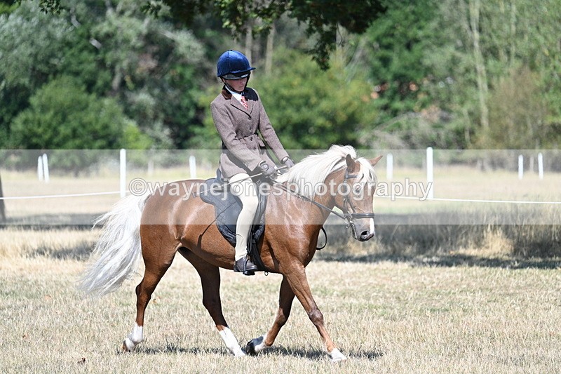 WJ7_3988 - Class 9 Mountain & Moorland Ridden