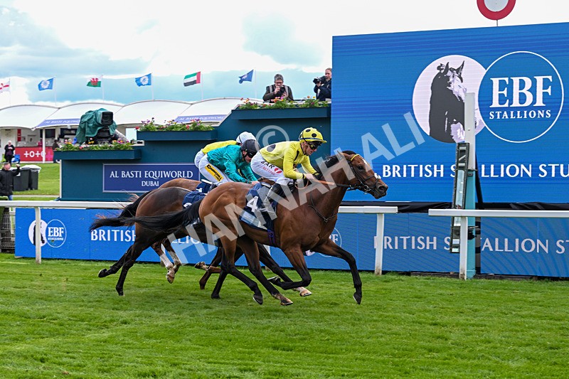 140526-Race 6-Dickensian-5819 - Race 6 4.40pm British Stallion Studs EBF Westow Stakes