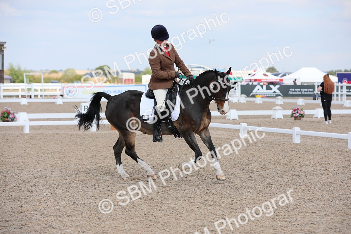 SBM_07524 - Class 33 Elementary 1