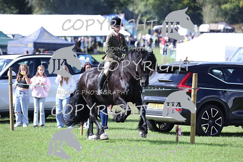 APP_3513 - Class 12 M&M ridden