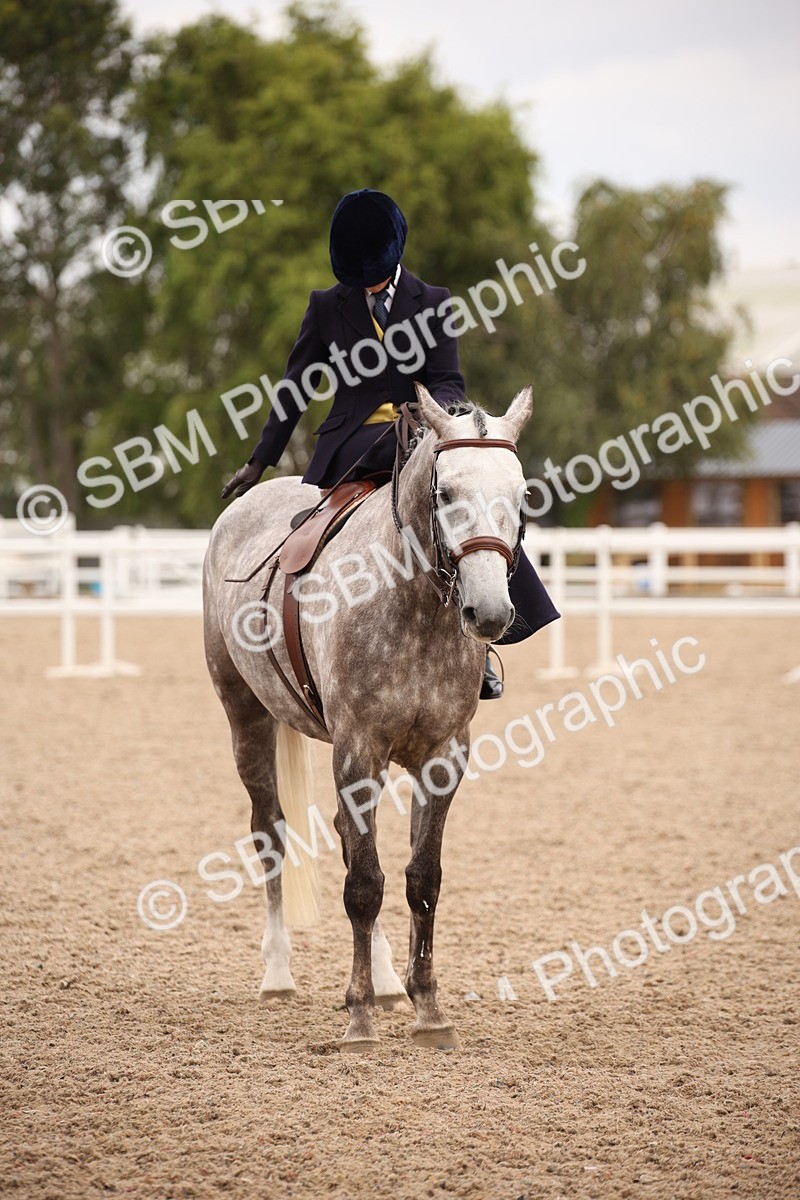 SBM_05496 - Class 22 SSA Equitation