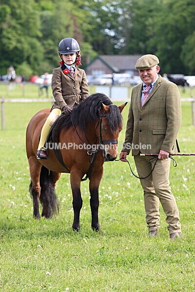 IMG_2218 - Working Hunter