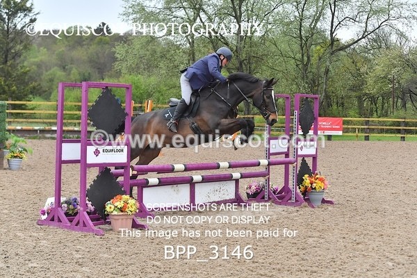 BPP_3146 - CLASS 12 SUN Club/ Unaffiliated 80cms Open