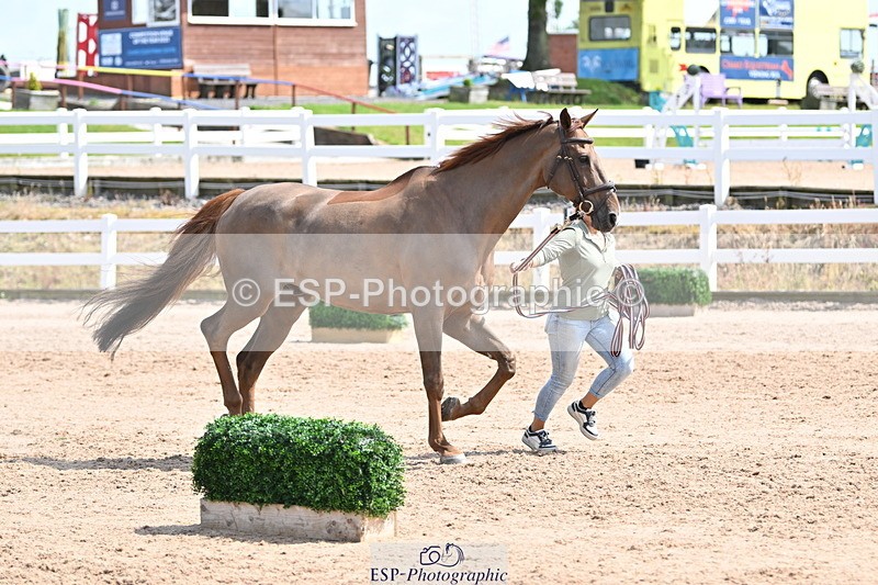 240717A-151128-02627 - Trot Up 3pm to 4pm