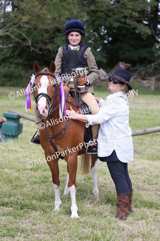 20260614-2169 - Class 21 - Novice Working Hunter Pony