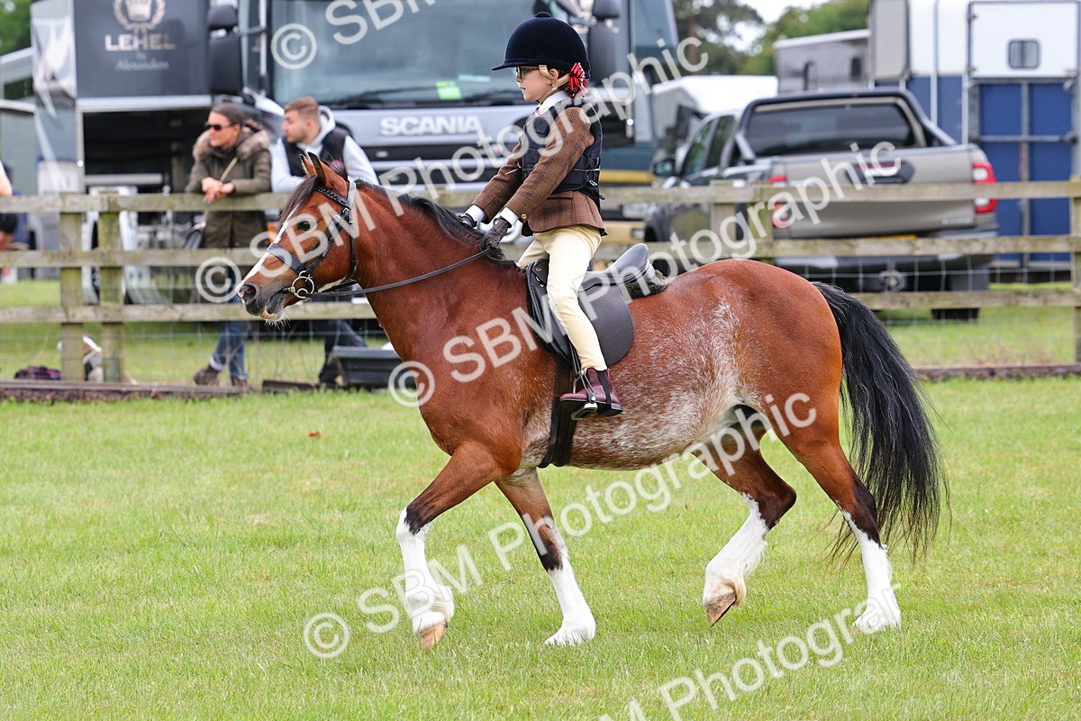 SBM_08770 - Class 42-43 - LIHS BSPS Heritage Working Sports Pony