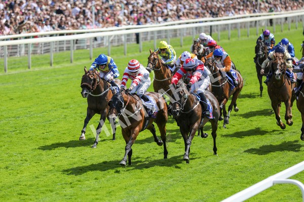 290723-Race 2-Aberama Gold-3817 - Race 2 2.40pm Sky Bet Dash Handicap