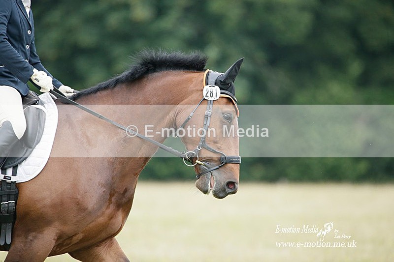 BVRC 030721 733 - Bourne Valley Riding Club Dressage 03/07/21