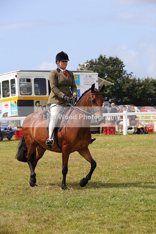 1X9A4092 - Class 32: Show Hunter Pony 153cm and under