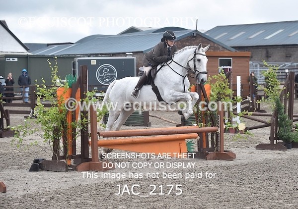 JAC_2175 - CLASS 2 Novice Working Hunter