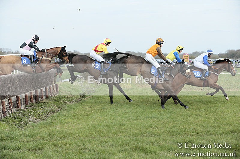 PtP 230319 262 - VWH Hunt Siddington Point-to-Point Racing 23/03/19