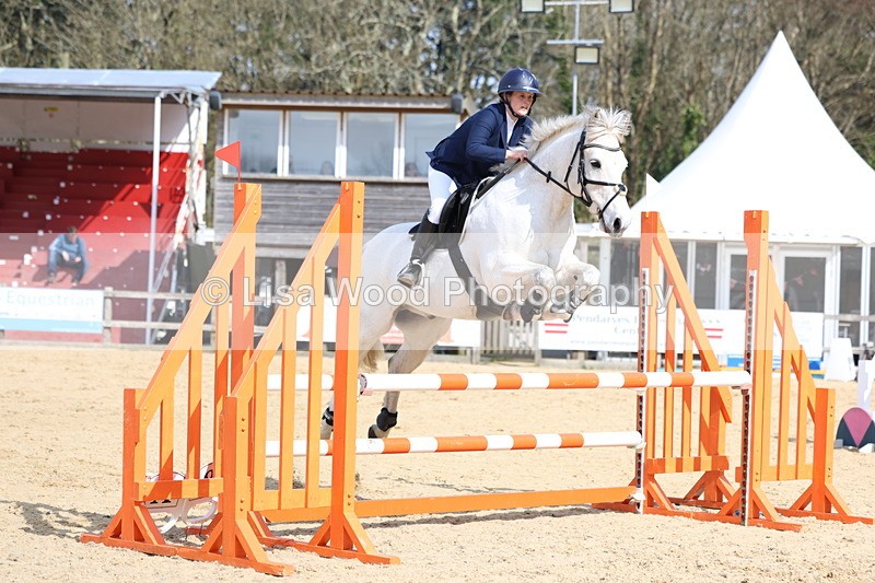 3E7A6609 - Class 4: Senior British Novice/90cm open