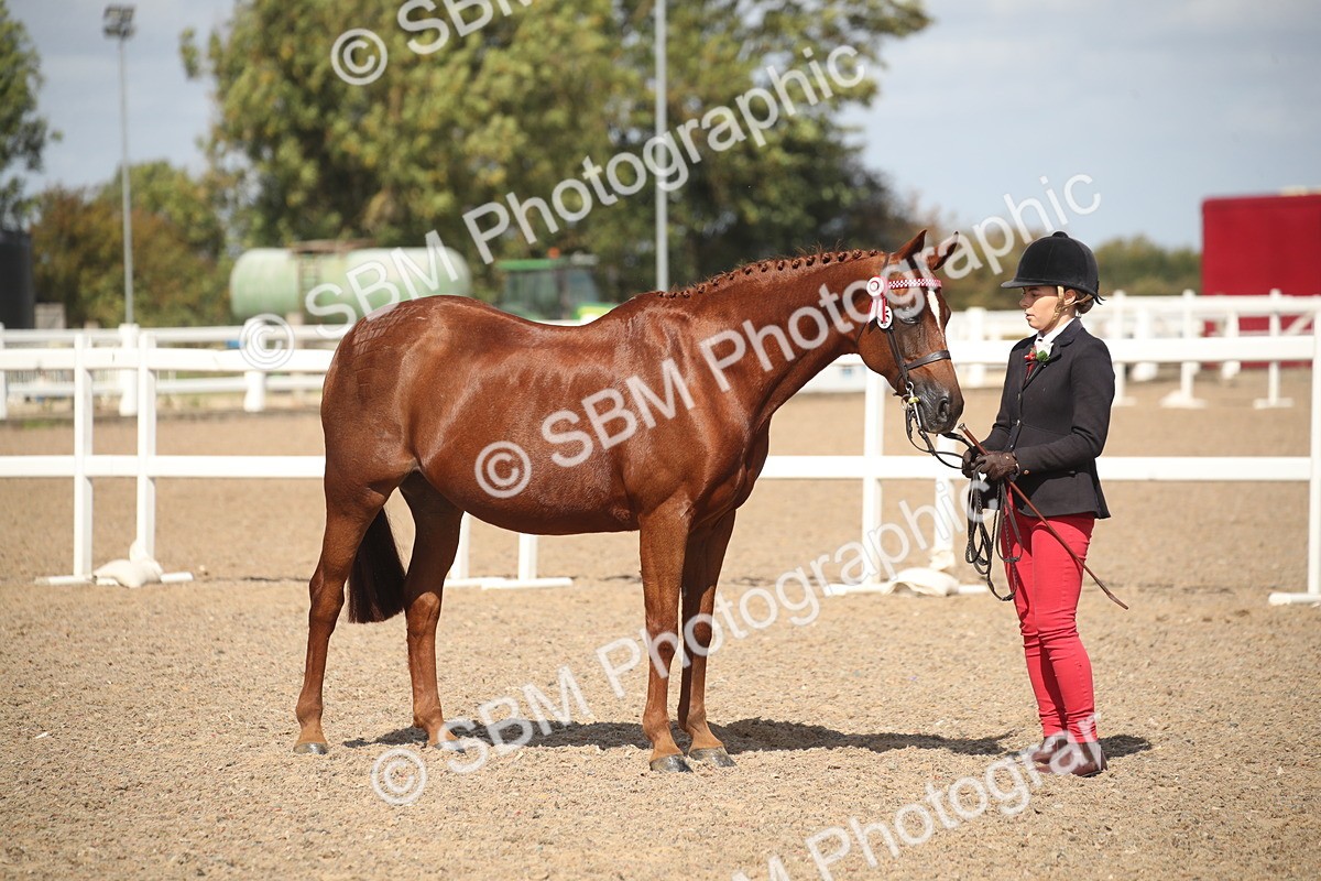 SBM_23146 - Class 606 - 2026 - Area - IH Pre Vet