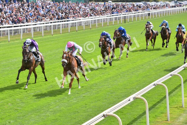 yr17082022r2-35 - Race 2 2.25pm Tattersalls Acomb Stakes