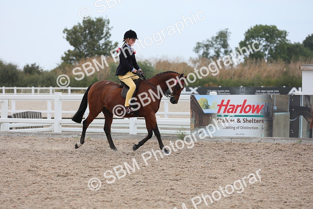 SBM_18040 - Class 316 Best Pony/Rider Combination