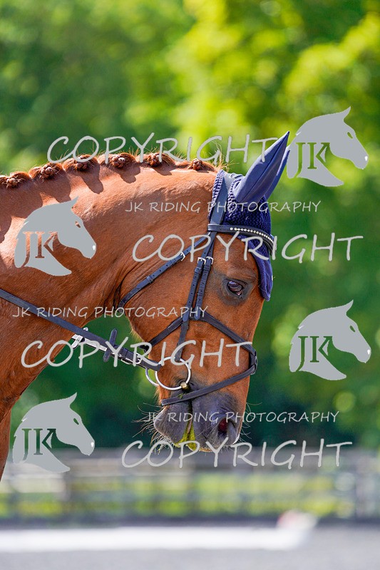 _DSC3907 - NOVICE 1