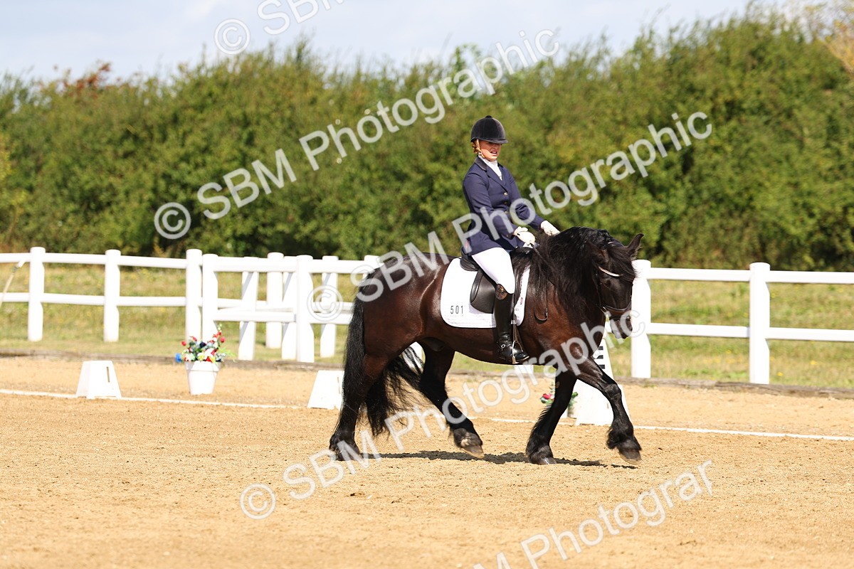 SBM_011613 - Class 1 - Prelim 19 - 10.50-11.46