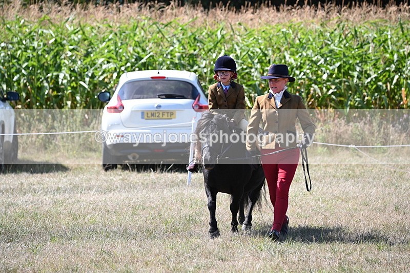 WJ6_8104 - Class 36 Lead Rein